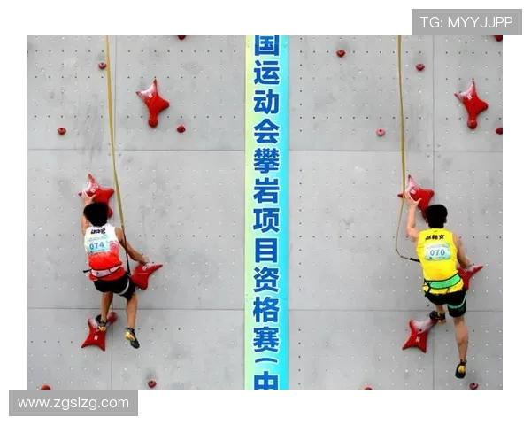 上海攀岩队协作能力分析及其在比赛中的表现研究