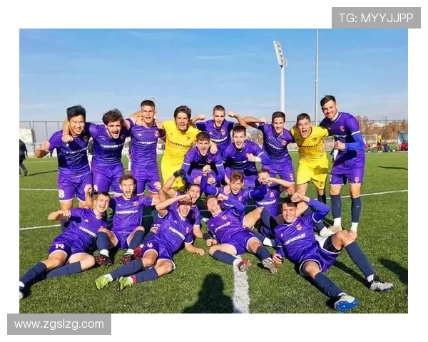 深入探讨上海足球队战术配合与对手的差异与优势分析