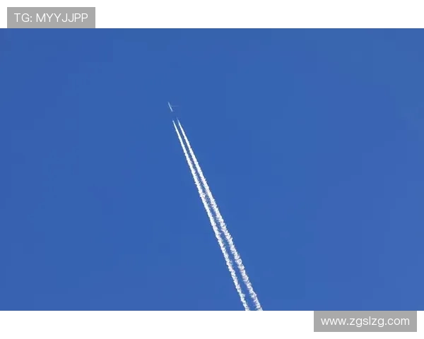 喷气飞机在布里斯班的飞行体验与城市魅力的完美结合