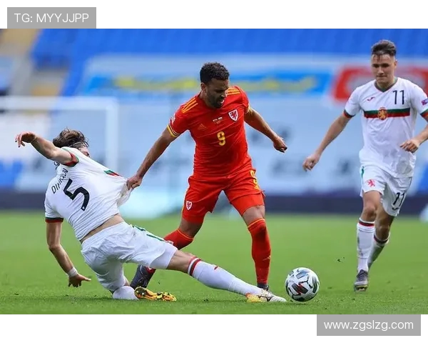 威尔士与保加利亚激战在即球迷期待精彩对决与历史交锋