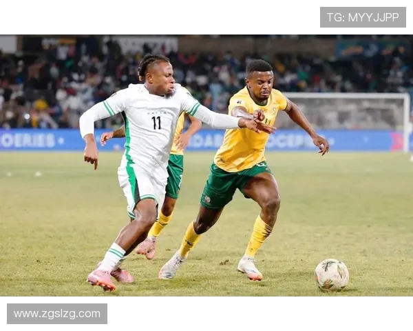 尼日利亚与南非精彩对决录像回放及赛后分析分享