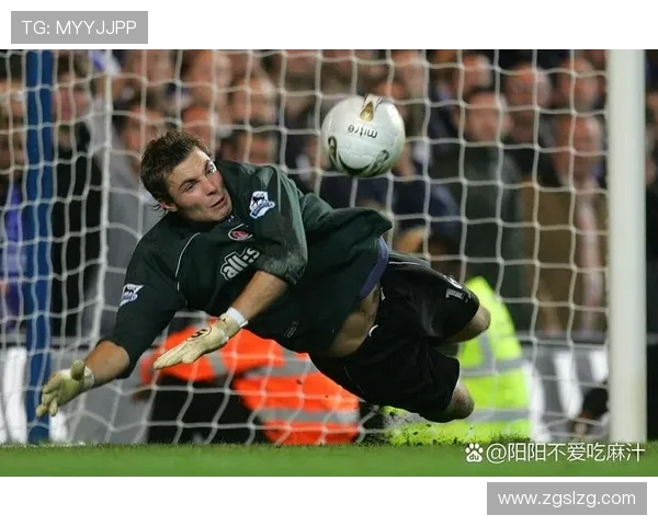 诺伊尔：从守门员到传奇，足球场上的不屈精神与荣耀之路