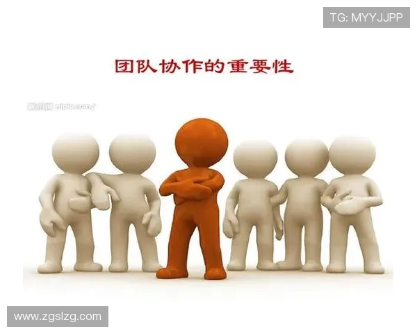 深圳攀岩队深度解析:如何实现整体压制与团队协作的完美结合