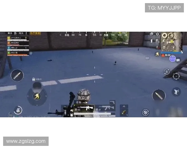 和平精英战术解析：深入剖析JDG战队的进攻体系与战略布局