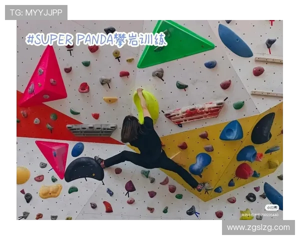 攀岩之巅：深入成都攀岩队的灵活性与训练秘笈探讨