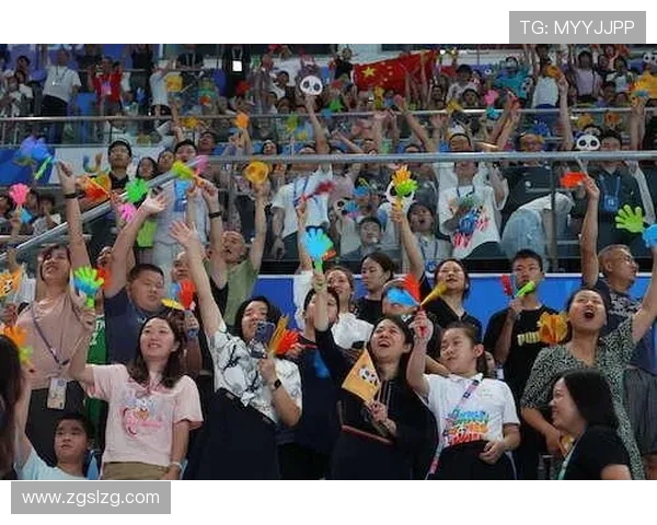 杭州排球队的蜕变与荣耀之路总决赛特别报道